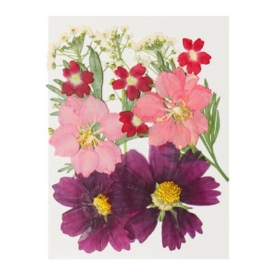 12Gb/Somiņa Presēti margrietiņas kaltēti ziedi Krāsains sveķu mākslas kulons DIY Amatniecība grima rotaslietu izgatavošanai 15*10CM mājas dekorēšanai