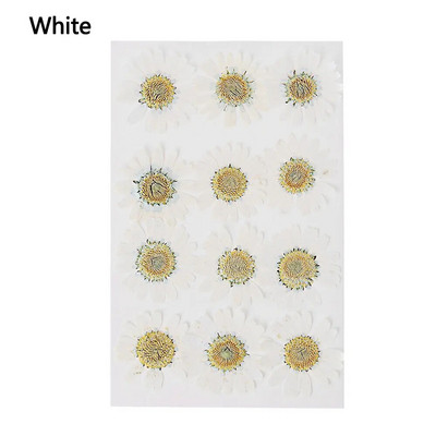 12Gb/Somiņa Presēti margrietiņas kaltēti ziedi Krāsains sveķu mākslas kulons DIY Amatniecība grima rotaslietu izgatavošanai 15*10CM mājas dekorēšanai