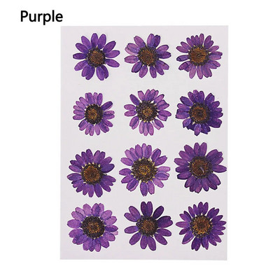 12Gb/Somiņa Presēti margrietiņas kaltēti ziedi Krāsains sveķu mākslas kulons DIY Amatniecība grima rotaslietu izgatavošanai 15*10CM mājas dekorēšanai