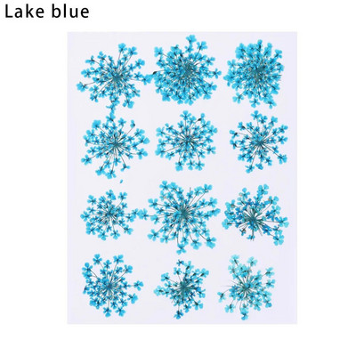 12Gb/Somiņa Presēti margrietiņas kaltēti ziedi Krāsains sveķu mākslas kulons DIY Amatniecība grima rotaslietu izgatavošanai 15*10CM mājas dekorēšanai