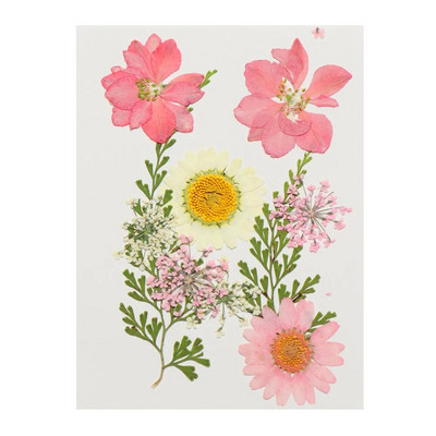 12Gb/Somiņa Presēti margrietiņas kaltēti ziedi Krāsains sveķu mākslas kulons DIY Amatniecība grima rotaslietu izgatavošanai 15*10CM mājas dekorēšanai