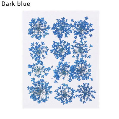 12Gb/Somiņa Presēti margrietiņas kaltēti ziedi Krāsains sveķu mākslas kulons DIY Amatniecība grima rotaslietu izgatavošanai 15*10CM mājas dekorēšanai