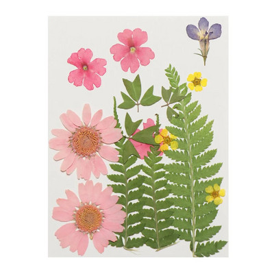 12Gb/Somiņa Presēti margrietiņas kaltēti ziedi Krāsains sveķu mākslas kulons DIY Amatniecība grima rotaslietu izgatavošanai 15*10CM mājas dekorēšanai