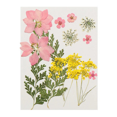 12Gb/Somiņa Presēti margrietiņas kaltēti ziedi Krāsains sveķu mākslas kulons DIY Amatniecība grima rotaslietu izgatavošanai 15*10CM mājas dekorēšanai