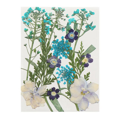 12Gb/Somiņa Presēti margrietiņas kaltēti ziedi Krāsains sveķu mākslas kulons DIY Amatniecība grima rotaslietu izgatavošanai 15*10CM mājas dekorēšanai