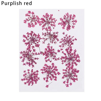 12Gb/Somiņa Presēti margrietiņas kaltēti ziedi Krāsains sveķu mākslas kulons DIY Amatniecība grima rotaslietu izgatavošanai 15*10CM mājas dekorēšanai