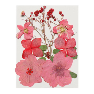 12Gb/Somiņa Presēti margrietiņas kaltēti ziedi Krāsains sveķu mākslas kulons DIY Amatniecība grima rotaslietu izgatavošanai 15*10CM mājas dekorēšanai