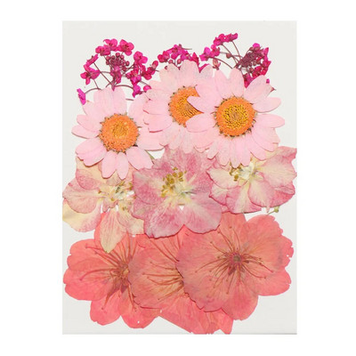 12Gb/Somiņa Presēti margrietiņas kaltēti ziedi Krāsains sveķu mākslas kulons DIY Amatniecība grima rotaslietu izgatavošanai 15*10CM mājas dekorēšanai