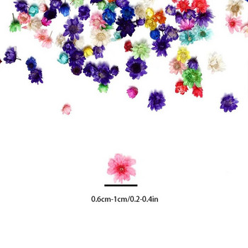 100/200 τμχ Μίνι αποξηραμένα λουλούδια Φυσική κεφαλή μικρού λουλουδιού κατασκευής εποξειδικής ρητίνης πλήρωσης χειροτεχνίας τεχνητού λουλουδιού Προμήθειες DIY