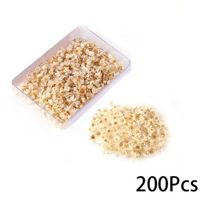 100/200 komada Mini osušenog cvijeća Prirodne male cvjetne glave Izrada epoksidne smole Punjenje za obrte Materijal za umjetno cvijeće DIY pribor