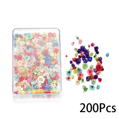 100/200 komada Mini osušenog cvijeća Prirodne male cvjetne glave Izrada epoksidne smole Punjenje za obrte Materijal za umjetno cvijeće DIY pribor
