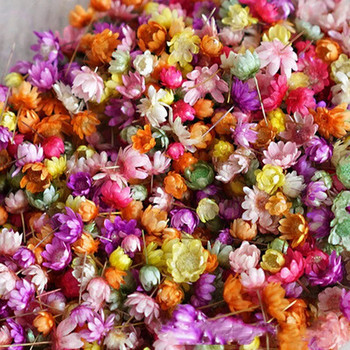 140 τεμάχια/τσάντα αποξηραμένα λουλούδια Diy Art Craft Εποξειδική Ρητίνη Κερί Κατασκευή Κοσμημάτων Σπίτι Πάρτι Διακοσμητικά λουλούδια από ξηρή πρέσα Photo Prop