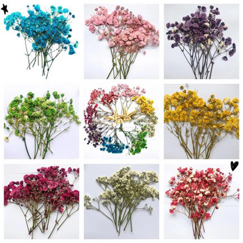 140 τεμάχια/τσάντα αποξηραμένα λουλούδια Diy Art Craft Εποξειδική Ρητίνη Κερί Κατασκευή Κοσμημάτων Σπίτι Πάρτι Διακοσμητικά λουλούδια από ξηρή πρέσα Photo Prop