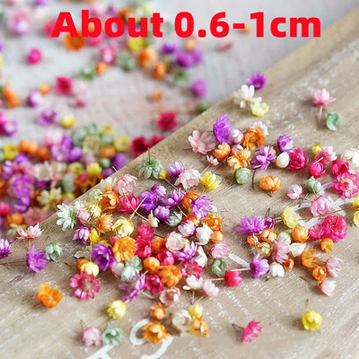 140 τεμάχια/τσάντα αποξηραμένα λουλούδια Diy Art Craft Εποξειδική Ρητίνη Κερί Κατασκευή Κοσμημάτων Σπίτι Πάρτι Διακοσμητικά λουλούδια από ξηρή πρέσα Photo Prop