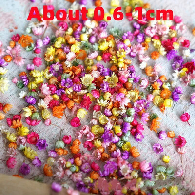 140 τεμάχια/τσάντα αποξηραμένα λουλούδια Diy Art Craft Εποξειδική Ρητίνη Κερί Κατασκευή Κοσμημάτων Σπίτι Πάρτι Διακοσμητικά λουλούδια από ξηρή πρέσα Photo Prop