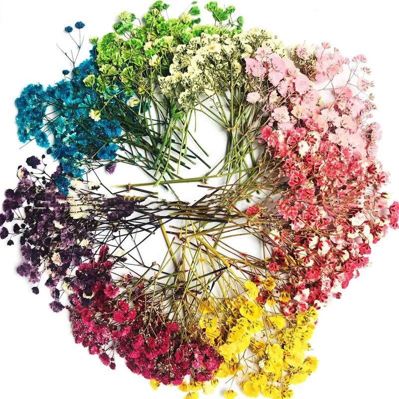 140 tk/kott Kuivatatud lilled isetehtud kunst käsitöö epoksiidvaigust küünal ehete tegemine kodupeol dekoratiivsed kuivpressid lilled fotorekvisiit