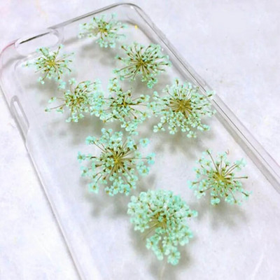 60 kom prešano osušeno cvijeće 20-25 mm Ammi Majus Biljni herbarij za nakit Razglednica Pozivnica Telefonska torbica Oznaka DIY