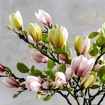 Нов изкуствен клон от цвете на магнолия за декорация на домашна всекидневна Фалшива коприна Растение Симулация на сватбено парти Букет цветя
