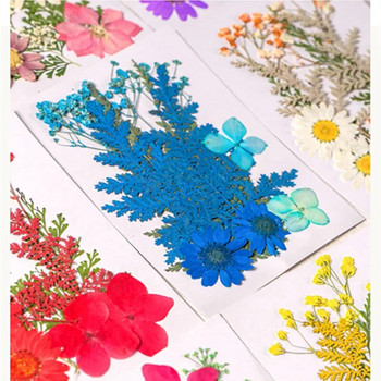 Φυσικά αποξηραμένα λουλούδια για διακόσμηση Beauty Nail Art Αυτοκόλλητα Εποξειδική φόρμα γεμίσματα Κοσμήματα Κατασκευή πάρτι Μπουκέτο Αποξηραμένα λουλούδια