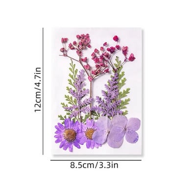 Φυσικά αποξηραμένα λουλούδια για διακόσμηση Beauty Nail Art Αυτοκόλλητα Εποξειδική φόρμα γεμίσματα Κοσμήματα Κατασκευή πάρτι Μπουκέτο Αποξηραμένα λουλούδια