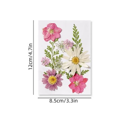 Φυσικά αποξηραμένα λουλούδια για διακόσμηση Beauty Nail Art Αυτοκόλλητα Εποξειδική φόρμα γεμίσματα Κοσμήματα Κατασκευή πάρτι Μπουκέτο Αποξηραμένα λουλούδια
