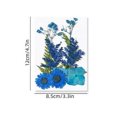 Φυσικά αποξηραμένα λουλούδια για διακόσμηση Beauty Nail Art Αυτοκόλλητα Εποξειδική φόρμα γεμίσματα Κοσμήματα Κατασκευή πάρτι Μπουκέτο Αποξηραμένα λουλούδια