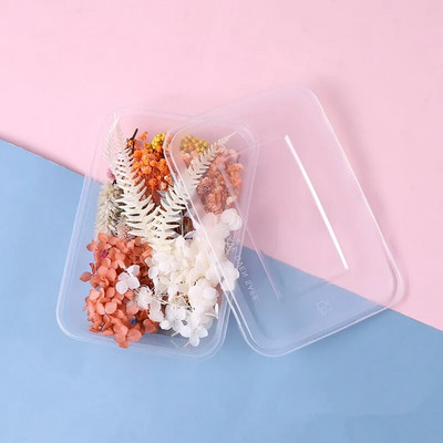 Φυσικά αποξηραμένα λουλούδια για διακόσμηση Beauty Nail Art Αυτοκόλλητα Εποξειδική φόρμα γεμίσματα Κοσμήματα Κατασκευή πάρτι Μπουκέτο Αποξηραμένα λουλούδια