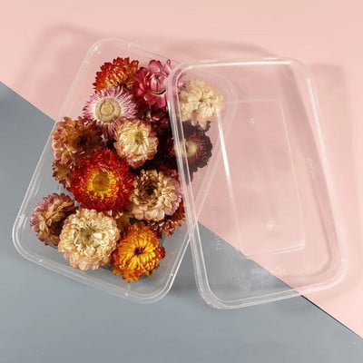 Φυσικά αποξηραμένα λουλούδια για διακόσμηση Beauty Nail Art Αυτοκόλλητα Εποξειδική φόρμα γεμίσματα Κοσμήματα Κατασκευή πάρτι Μπουκέτο Αποξηραμένα λουλούδια