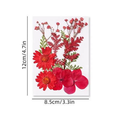 Φυσικά αποξηραμένα λουλούδια για διακόσμηση Beauty Nail Art Αυτοκόλλητα Εποξειδική φόρμα γεμίσματα Κοσμήματα Κατασκευή πάρτι Μπουκέτο Αποξηραμένα λουλούδια