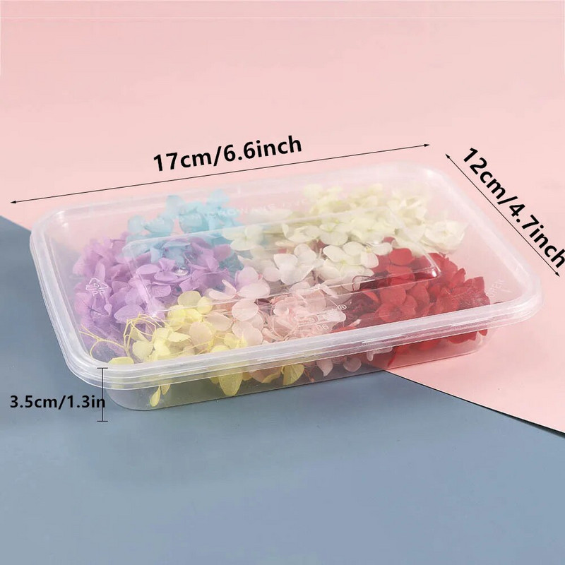 Φυσικά αποξηραμένα λουλούδια για διακόσμηση Beauty Nail Art Αυτοκόλλητα Εποξειδική φόρμα γεμίσματα Κοσμήματα Κατασκευή πάρτι Μπουκέτο Αποξηραμένα λουλούδια