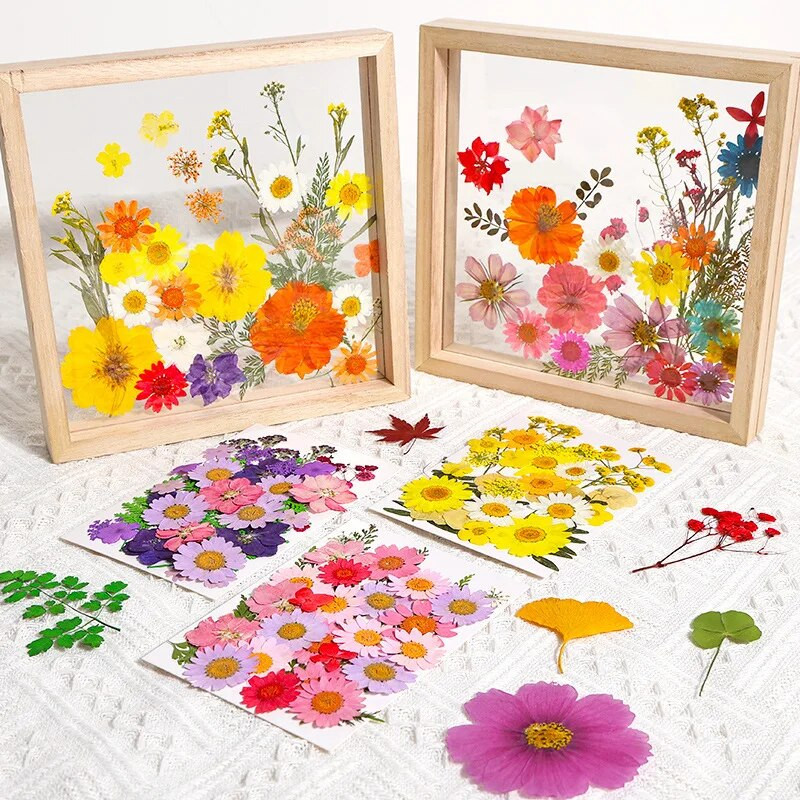Φυσικά αποξηραμένα λουλούδια για διακόσμηση Beauty Nail Art Αυτοκόλλητα Εποξειδική φόρμα γεμίσματα Κοσμήματα Κατασκευή πάρτι Μπουκέτο Αποξηραμένα λουλούδια