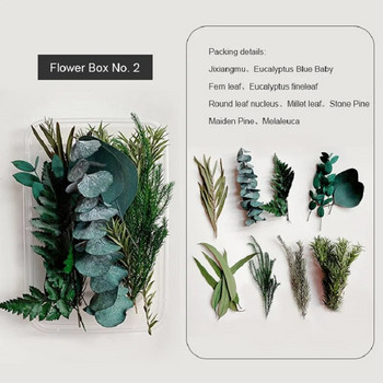 1 κουτί Φυσικό Πραγματικό ξηρό λουλούδι Φυτά DIY Εποξειδική Ρητίνη Πλαίσιο Ανεμιστήρας Ανάγλυφο Υλικά Αρωματοθεραπεία Κερί Κατασκευή Διακόσμηση σπιτιού