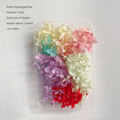 1 kutija Prirodne prave suhe biljke cvijeća Uradi sam Okvir od epoksidne smole Materijali za utiskivanje ventilatora Aromaterapija Izrada svijeća Dekoracija doma