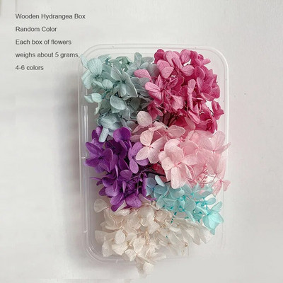 1 kutija Prirodne prave suhe biljke cvijeća Uradi sam Okvir od epoksidne smole Materijali za utiskivanje ventilatora Aromaterapija Izrada svijeća Dekoracija doma