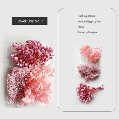 1 kutija Prirodne prave suhe biljke cvijeća Uradi sam Okvir od epoksidne smole Materijali za utiskivanje ventilatora Aromaterapija Izrada svijeća Dekoracija doma
