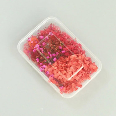 1 kutija Prirodne prave suhe biljke cvijeća Uradi sam Okvir od epoksidne smole Materijali za utiskivanje ventilatora Aromaterapija Izrada svijeća Dekoracija doma