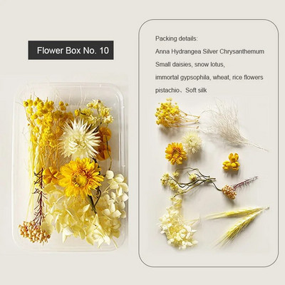1 kutija Prirodne prave suhe biljke cvijeća Uradi sam Okvir od epoksidne smole Materijali za utiskivanje ventilatora Aromaterapija Izrada svijeća Dekoracija doma
