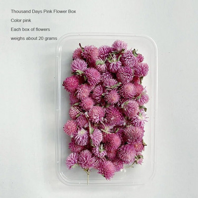 1 kutija Prirodne prave suhe biljke cvijeća Uradi sam Okvir od epoksidne smole Materijali za utiskivanje ventilatora Aromaterapija Izrada svijeća Dekoracija doma