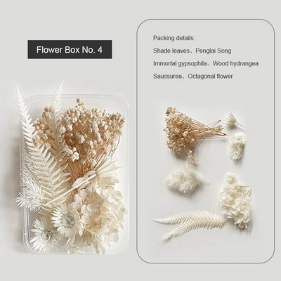 1 kutija Prirodne prave suhe biljke cvijeća Uradi sam Okvir od epoksidne smole Materijali za utiskivanje ventilatora Aromaterapija Izrada svijeća Dekoracija doma