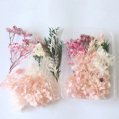 1 kutija Prirodne prave suhe biljke cvijeća Uradi sam Okvir od epoksidne smole Materijali za utiskivanje ventilatora Aromaterapija Izrada svijeća Dekoracija doma