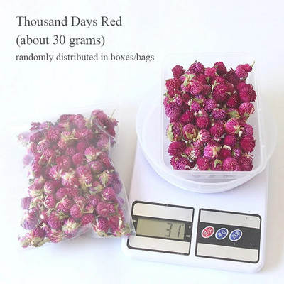 1 kutija Prirodne prave suhe biljke cvijeća Uradi sam Okvir od epoksidne smole Materijali za utiskivanje ventilatora Aromaterapija Izrada svijeća Dekoracija doma