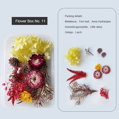 1 kutija Prirodne prave suhe biljke cvijeća Uradi sam Okvir od epoksidne smole Materijali za utiskivanje ventilatora Aromaterapija Izrada svijeća Dekoracija doma