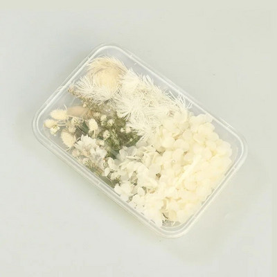 1 kutija Prirodne prave suhe biljke cvijeća Uradi sam Okvir od epoksidne smole Materijali za utiskivanje ventilatora Aromaterapija Izrada svijeća Dekoracija doma