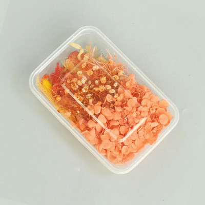 1 kutija Prirodne prave suhe biljke cvijeća Uradi sam Okvir od epoksidne smole Materijali za utiskivanje ventilatora Aromaterapija Izrada svijeća Dekoracija doma