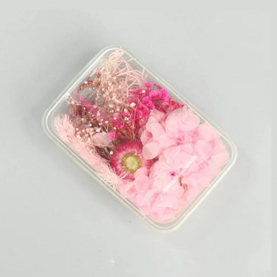 1 kutija Prirodne prave suhe biljke cvijeća Uradi sam Okvir od epoksidne smole Materijali za utiskivanje ventilatora Aromaterapija Izrada svijeća Dekoracija doma