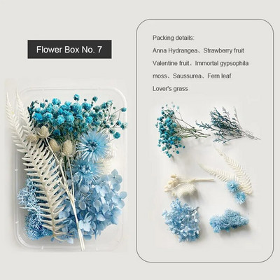 1 kutija Prirodne prave suhe biljke cvijeća Uradi sam Okvir od epoksidne smole Materijali za utiskivanje ventilatora Aromaterapija Izrada svijeća Dekoracija doma