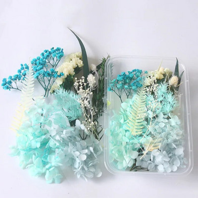 1 kutija Prirodne prave suhe biljke cvijeća Uradi sam Okvir od epoksidne smole Materijali za utiskivanje ventilatora Aromaterapija Izrada svijeća Dekoracija doma