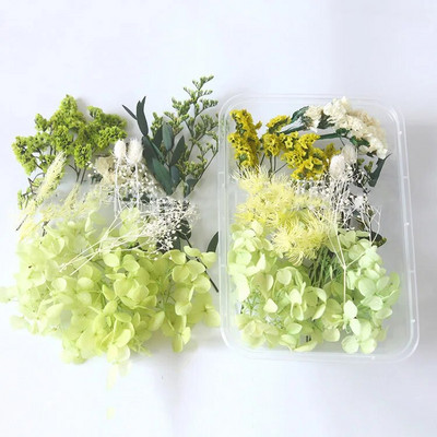 1 kutija Prirodne prave suhe biljke cvijeća Uradi sam Okvir od epoksidne smole Materijali za utiskivanje ventilatora Aromaterapija Izrada svijeća Dekoracija doma