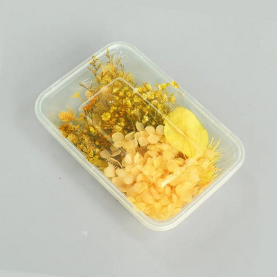 1 kutija Prirodne prave suhe biljke cvijeća Uradi sam Okvir od epoksidne smole Materijali za utiskivanje ventilatora Aromaterapija Izrada svijeća Dekoracija doma