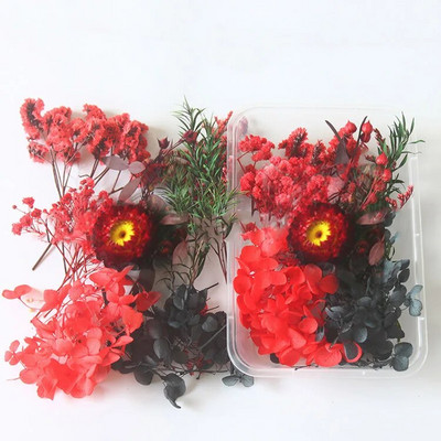 1 kutija Prirodne prave suhe biljke cvijeća Uradi sam Okvir od epoksidne smole Materijali za utiskivanje ventilatora Aromaterapija Izrada svijeća Dekoracija doma